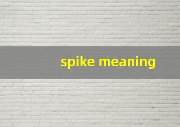 spike meaning